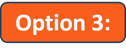 Option 3
